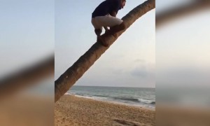 ഇപ്പോഴത്തെ ട്രെൻഡിനൊപ്പം !