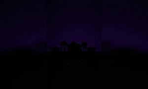 ഐക്യദീപം തിരി തെളിഞ്ഞു !