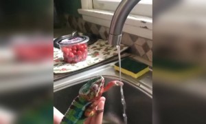 കൈ നന്നായി കഴുകണം !