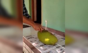 ആഹാ സൂപ്പർ കേക്ക് ആണല്ലോ