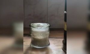 ഡാൽഗോണ കോഫി