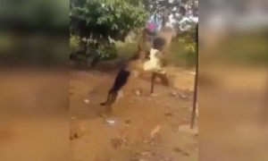 ഊഞ്ഞാലാട്ടനൊക്കെ അറിയാമോ !