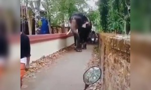 കണ്ടു ഇഷ്ടപ്പെട്ടു എടുക്കുന്നു !