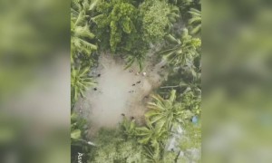 ഓടിക്കോ !!!!