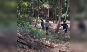 മുരുകാ നീ തീർന്നടാ !