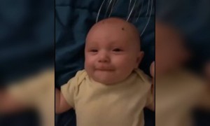 കുഞ്ഞ് വേറെ മൂഡിലാ !