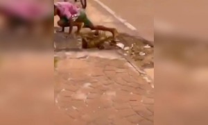 ചെക്കൻ സൂപ്പറാ !