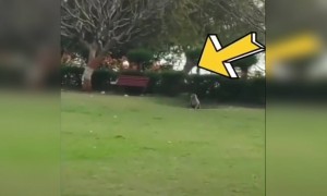 ഇതൊക്കെ എന്ത്!!.