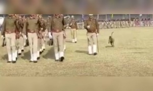 നിനക്ക് മാത്രം എന്താടാ ലൈനിൽ നടന്നാൽ !