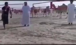 ഒട്ടകം കാലുമടക്കി അടിച്ചു !