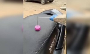 ഒടുക്കത്തെ സ്കിൽ തന്നെ, ഭീകരനാണവൻ !