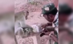 ഒരു നല്ല കാഴ്ച !.