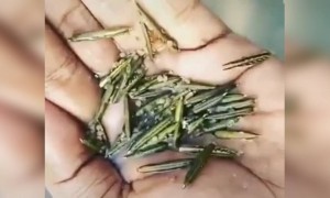 ഇതുപോലെ ചെയ്തിട്ടുണ്ടോ നിങ്ങൾ !