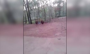 കളിയ്ക്കാൻ വേറെ ആളില്ലാത്തത് കൊണ്ട് !