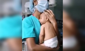 വളരെ മനോഹരമായ ഒരു കാഴ്ച