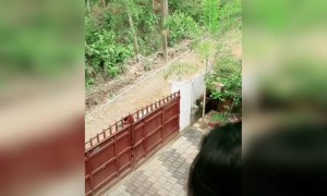 വീട്ടിലിരിക്ക് മോനെ