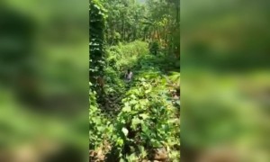 എല്ലാരും ഇങ്ങു പോര് !