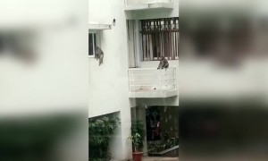 ലോക്ക് ഡൗൺ ആസ്വദിക്കുന്ന ചിലർ !