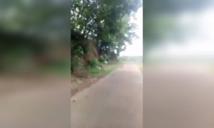 വളരെ മനോഹരമായ കാഴ്ച !!!.