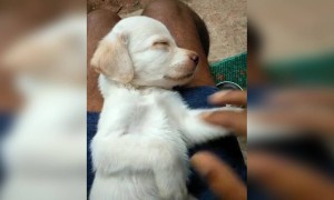 ബക്കാർടി ഭയങ്കരൻ തന്നെ !