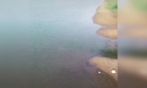 അമ്മാവൻ ഇപ്പൊ ഡ്രോൺ എറിഞ്ഞിട്ടേനെ !