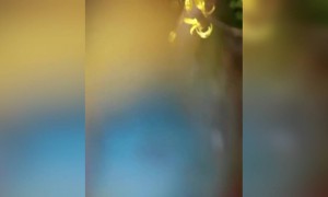 ഹാപ്പി വിഷു