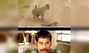 ശിവനെ ഇത് ഏത് ജില്ല !