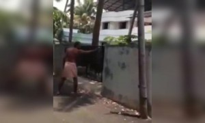 ചേട്ടന്റെ വീഡിയോ ഇല്ലാതെ നമ്മുക്ക് എന്ത് വിഷു !