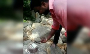 കേക്ക് കുരങ്ങൻ കൊണ്ടുപോയി !