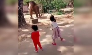 ഡാൻസ് കളിക്കാനൊക്കെ അറിയുമോ ?