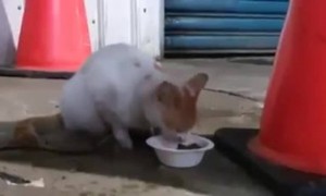 ഇങ്ങനെ പേടിക്കല്ലടാ !