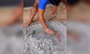 ചെക്കൻ വേറെ ലെവൽ !