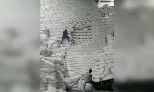 സ്മാർട്ട് വർക്ക്