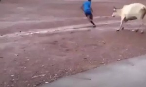 ചോരയിൽ കലർന്ന വികാരം !