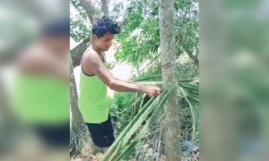 ഓല കൊണ്ട് തൊപ്പി ഉണ്ടാക്കാൻ അറിയാമോ ?