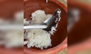 ഇതൊക്കെയാണ് ഫുഡ് !