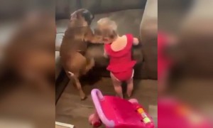 കുറെ നേരം ആയല്ലോ, വല്ലതും നടക്കുമോ ?