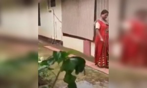 അമ്പടി, കൊള്ളാം കൊള്ളാം !