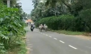 കാള പോസ്റ്റ് കണ്ടില്ലെന്ന് തോന്നുന്നു !