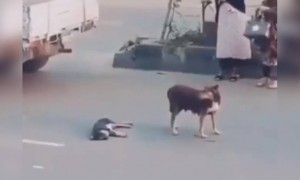 ഇതൊക്കെയല്ലേ നമ്മൾ ഷെയർ ചെയ്യേണ്ടത് !