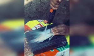 നിങ്ങൾക്ക് കേരളത്തിലെ പിള്ളേരെ അറിയില്ല !