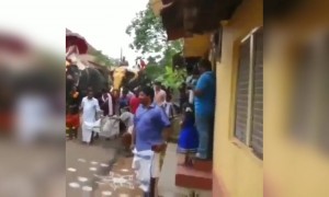 ആന: ചുമ്മാ, ഒരു മനഃസുഖം
