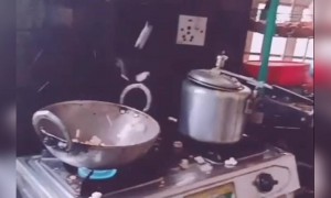 പോപ്കോൺ ഉണ്ടാക്കാൻ നോക്കിയതാ !