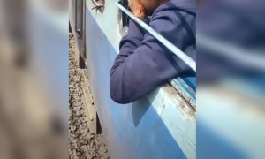 ശരിക്കും ഭാഗ്യം കൊണ്ട് രക്ഷപ്പെട്ടതാ !