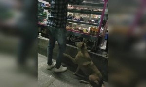 ഒരു നല്ല കാഴ്ച