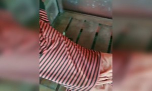 നിങ്ങൾക്കുണ്ടോ ഇതുപോലെ ഒരു കൂട്ടുകാരൻ