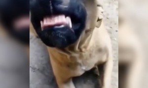 നല്ല കിടിലൻ ചിരിയാണല്ലോ