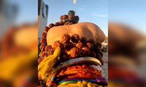 ഓം നമഃശിവായ !