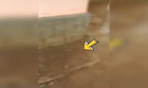 ഇപ്പൊ മുഴുവൻ കത്തി പോയേനെ !