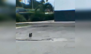 നാശത്തിലേക്കാണ് നിന്റെ പോക്ക്, നീ തീർന്നടാ !